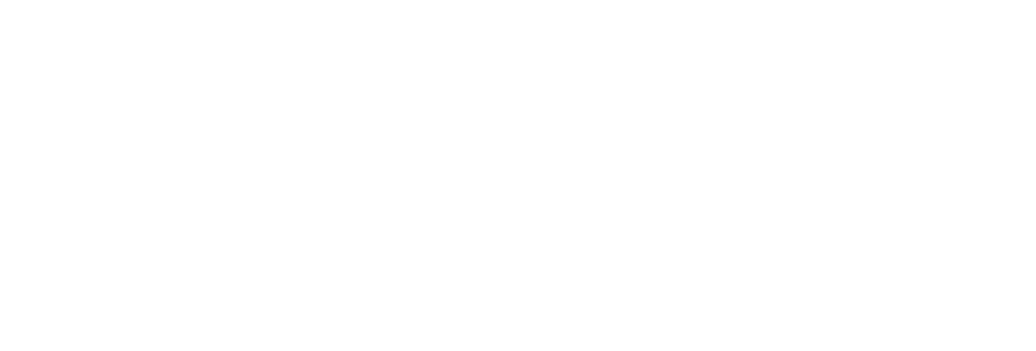 VizorLabs